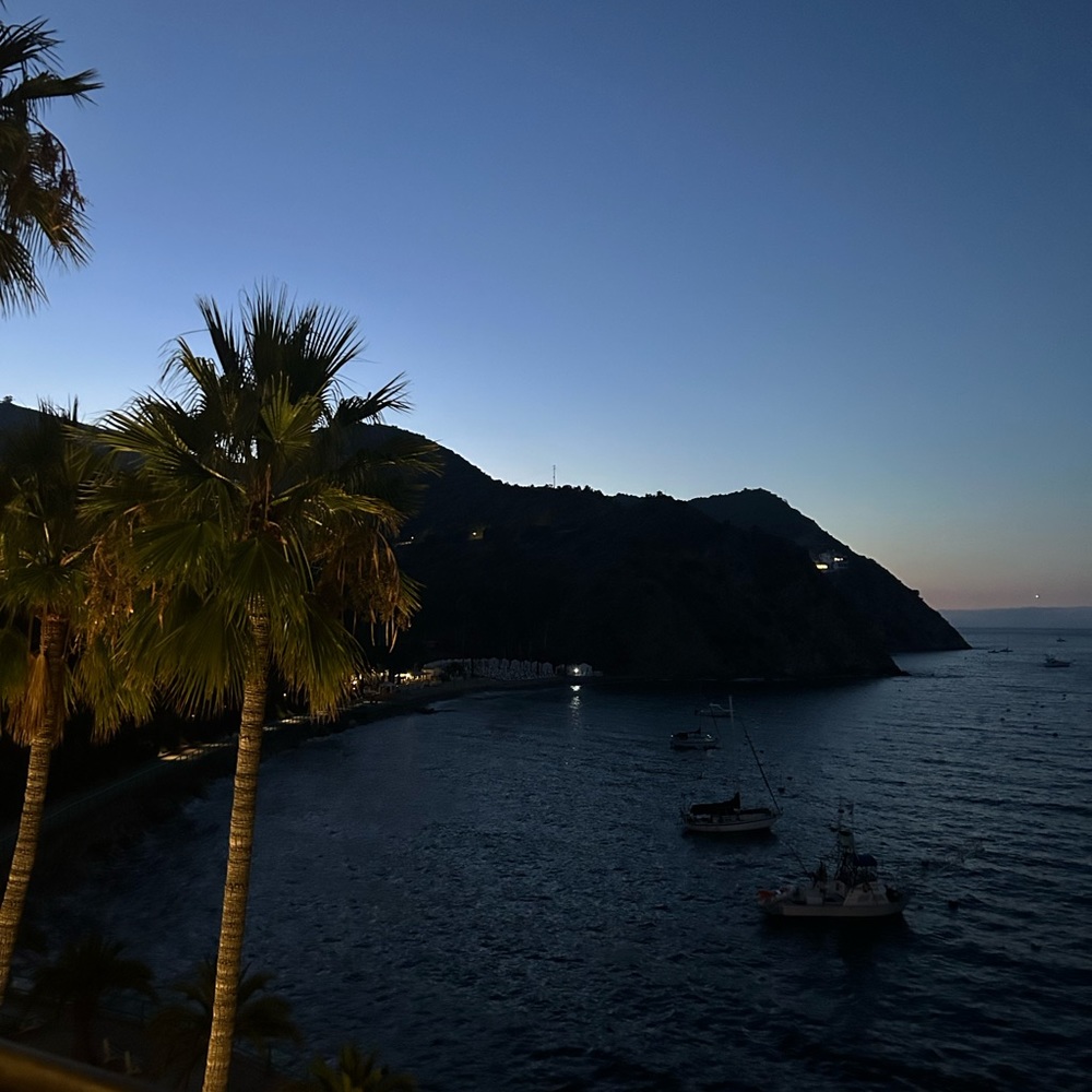 Meet your Posher, Gianna